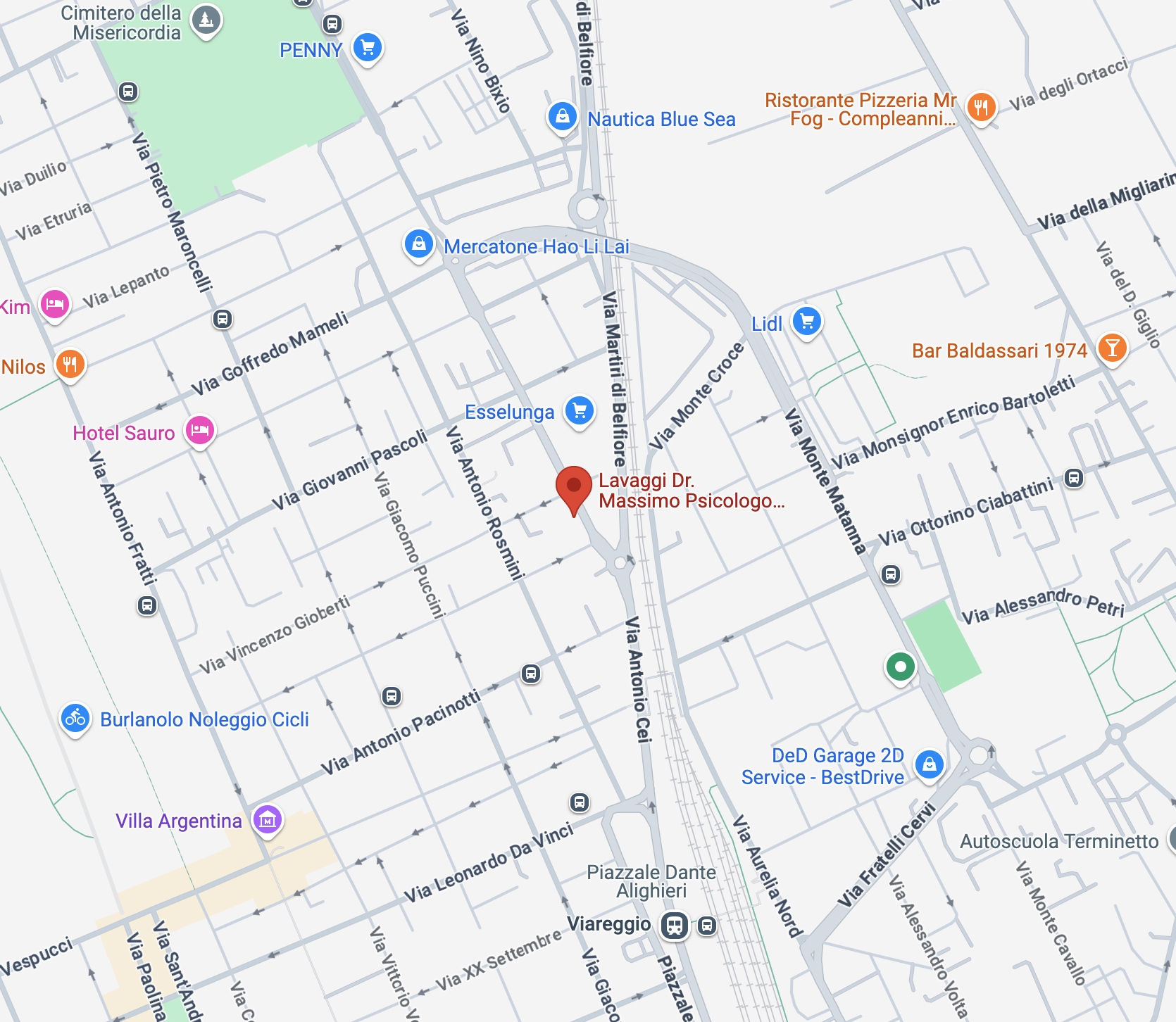 Psicologo Massa e Viareggio